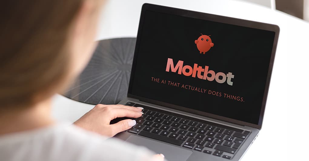 Moltbot - TikTok USA - AI e security - 2024 cover