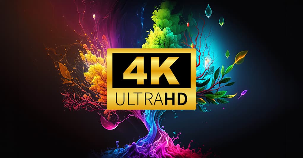 4K - Copia privata - Soluzioni digitali sovrane - 2024 cover