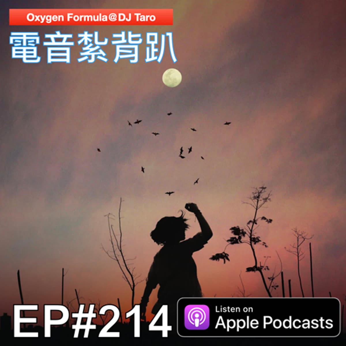 EP214【派對電音】今人不見古時月，今月曾照古時人 - O2F EDM 電音紮背趴 cover