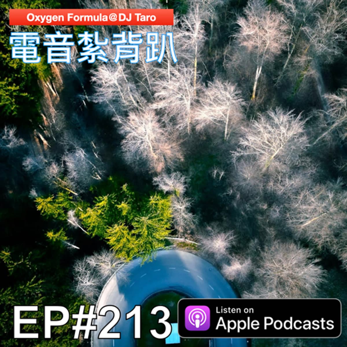 EP213【派對電音】葉裡藏花一度，夢裡踏雪幾回 - O2F EDM 電音紮背趴 cover