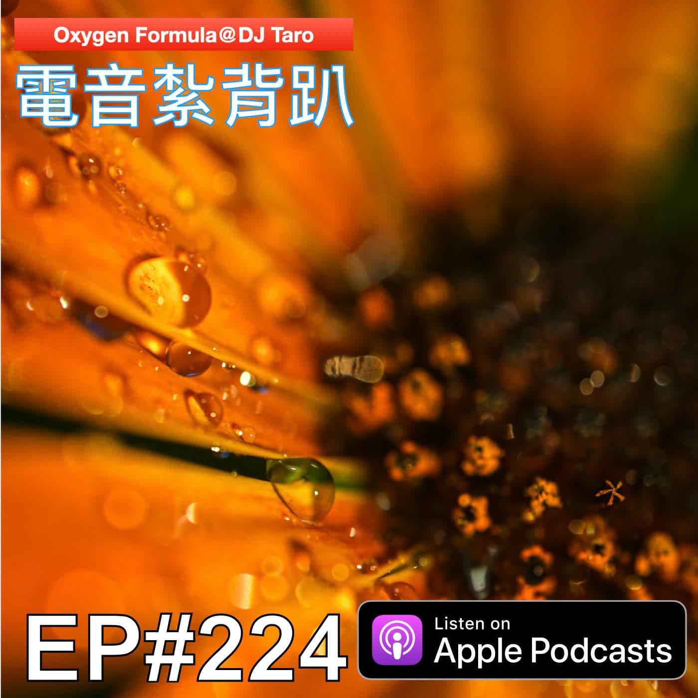 EP224【派對電音】蹲得愈低，腳就愈痠；在哪裡跌倒，就在那裡躺好 — O2F EDM 電音紮背趴 cover