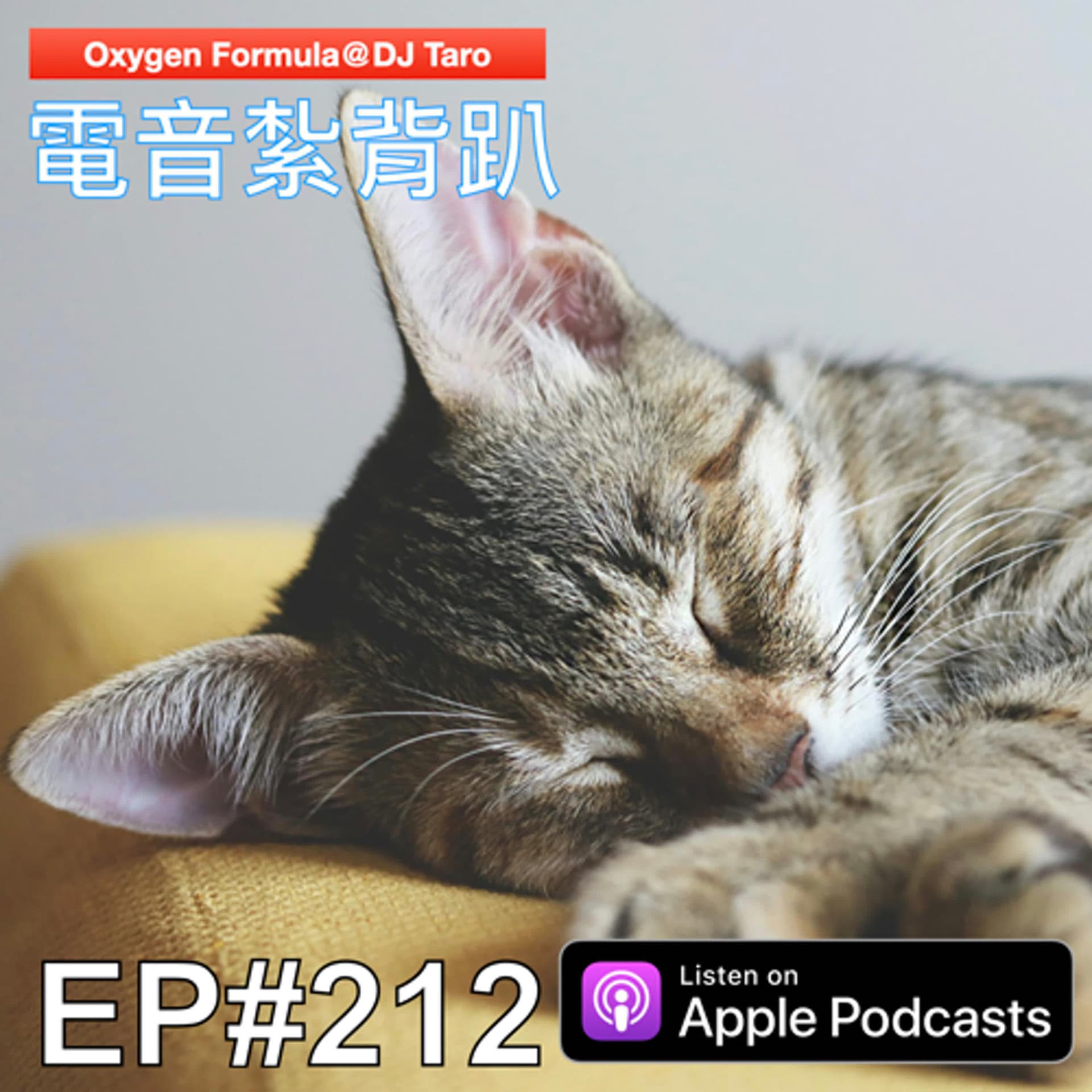 EP212【派對電音】聽說手機放枕頭旁邊有輻射，所以我把枕頭丟了 - O2F EDM 電音紮背趴 cover