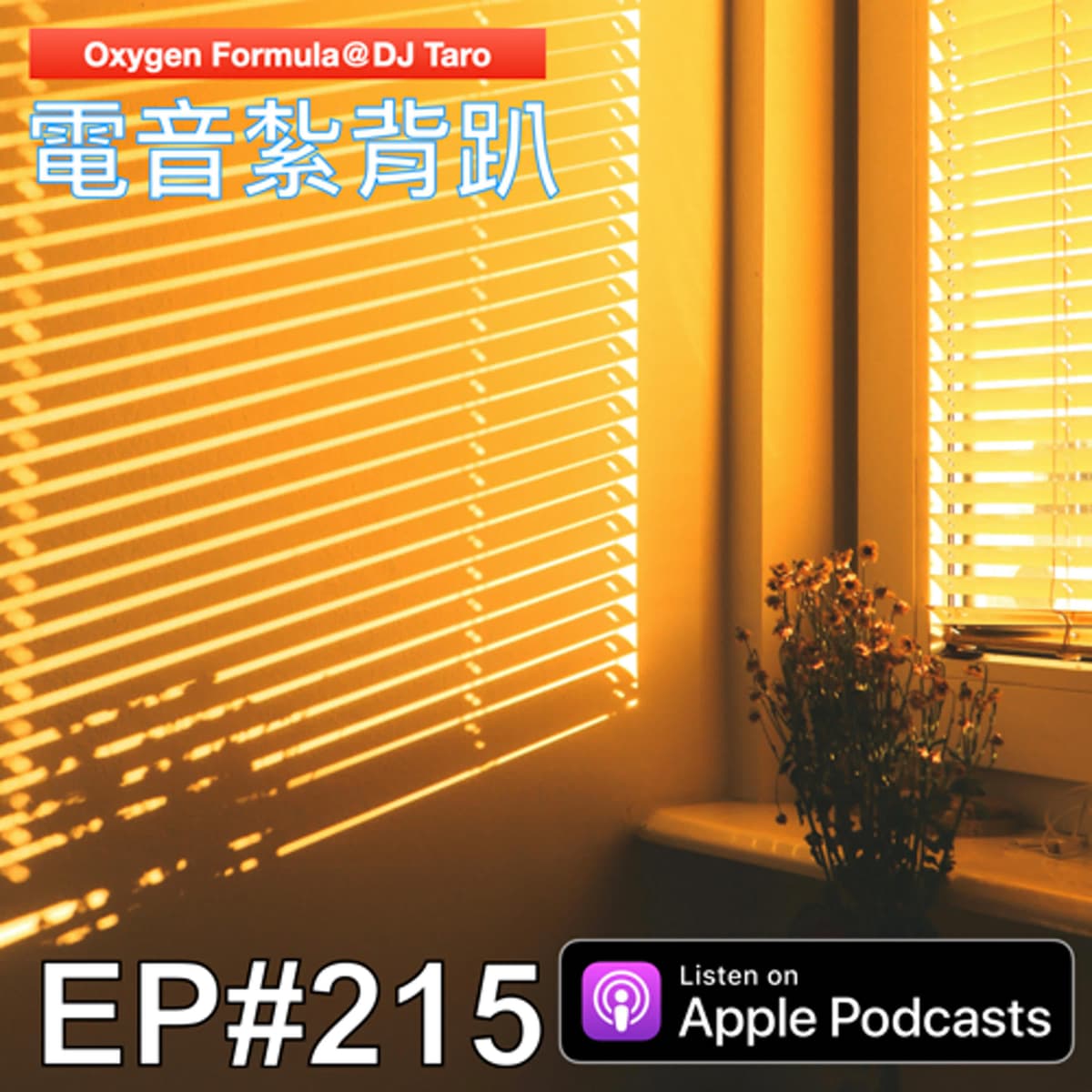 EP215【派對電音】日出有盼，日落有念 - O2F EDM 電音紮背趴 cover