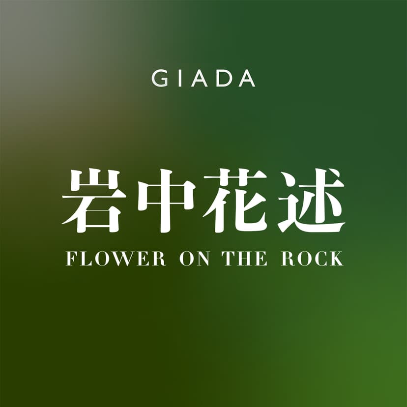 岩中花述 cover