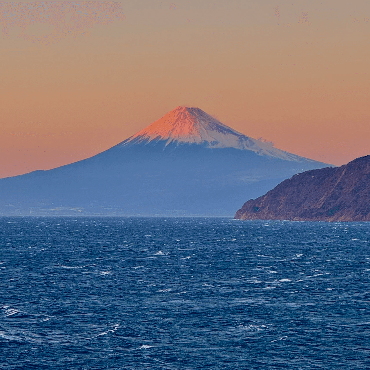 一月物语·特别版：One Republic、《过年》、迷宫饭、东京八平米、福岛和土肥温泉 - 犬生活 cover