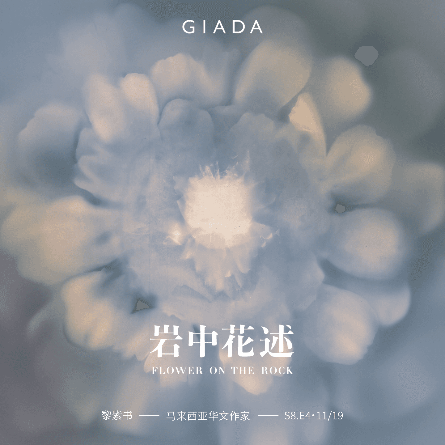 S8E4 鲁豫对话黎紫书 | 飞向更高远的天空，即便空气稀薄 - 岩中花述 cover