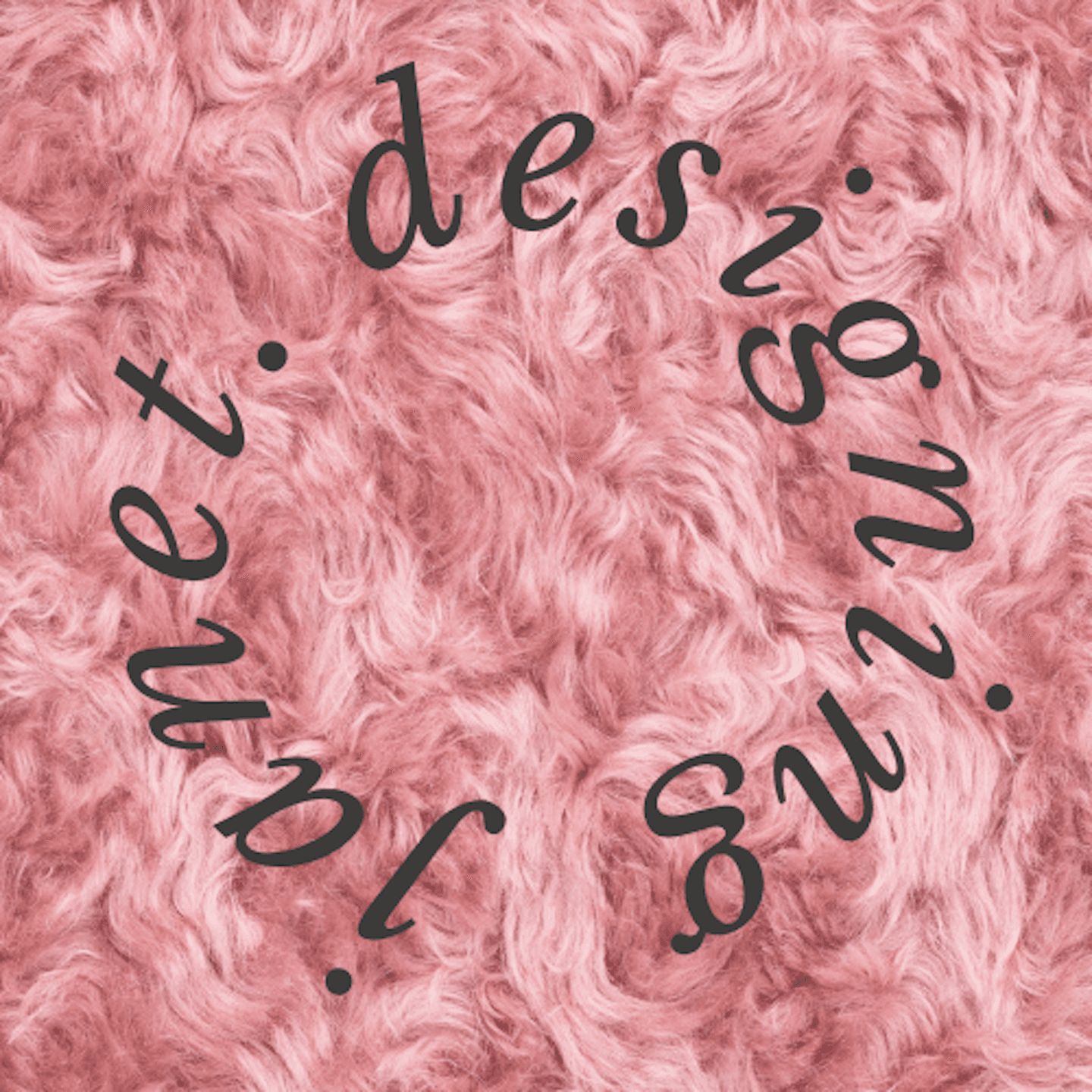 Designing Janet cover