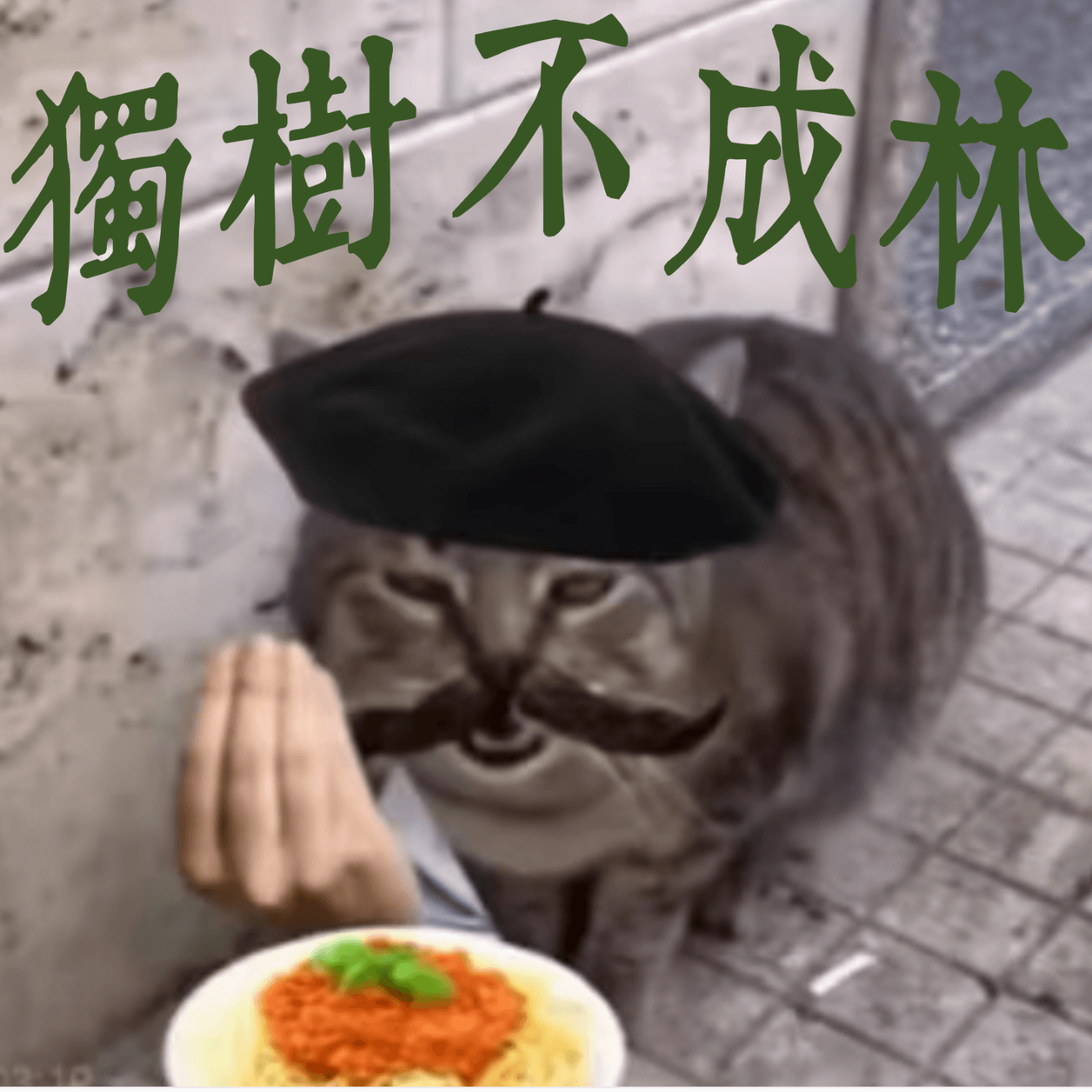 157-如何欣赏歌剧？ - 独树不成林 cover