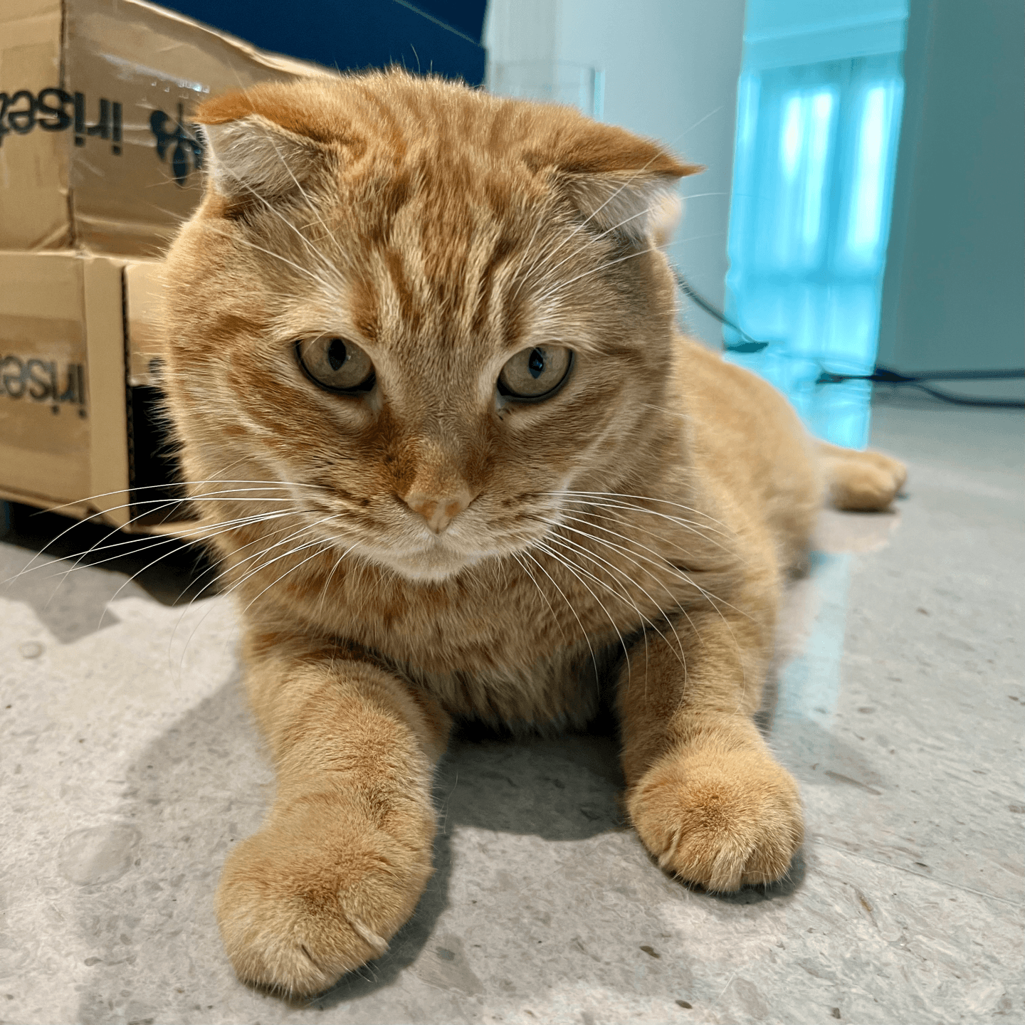 史蒂夫说434期 - 回信：当我们迷恋他人时，其实是渴望活出自己 - 史蒂夫说 cover