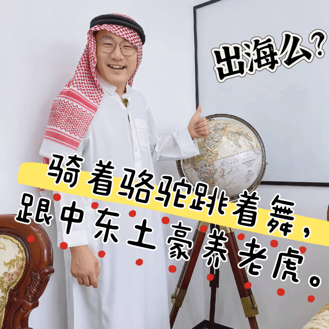 【中东篇】出海么？骑着骆驼跳着舞，跟中东土豪养老虎！ - 微毒实验室 cover