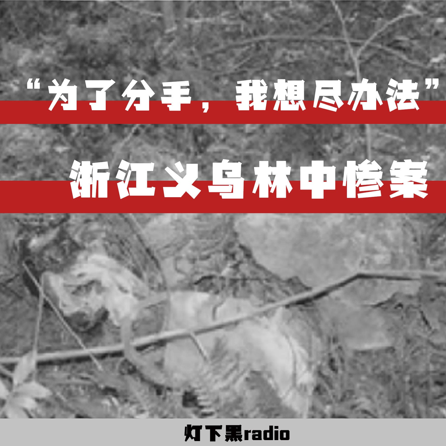 “为了分手，我想尽办法”——浙江义乌林中惨案 - 灯下黑radio cover