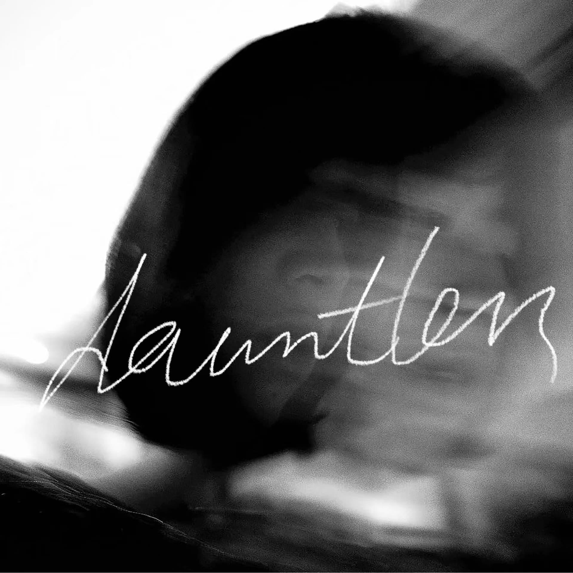 Dauntless｜无畏谈话录 cover