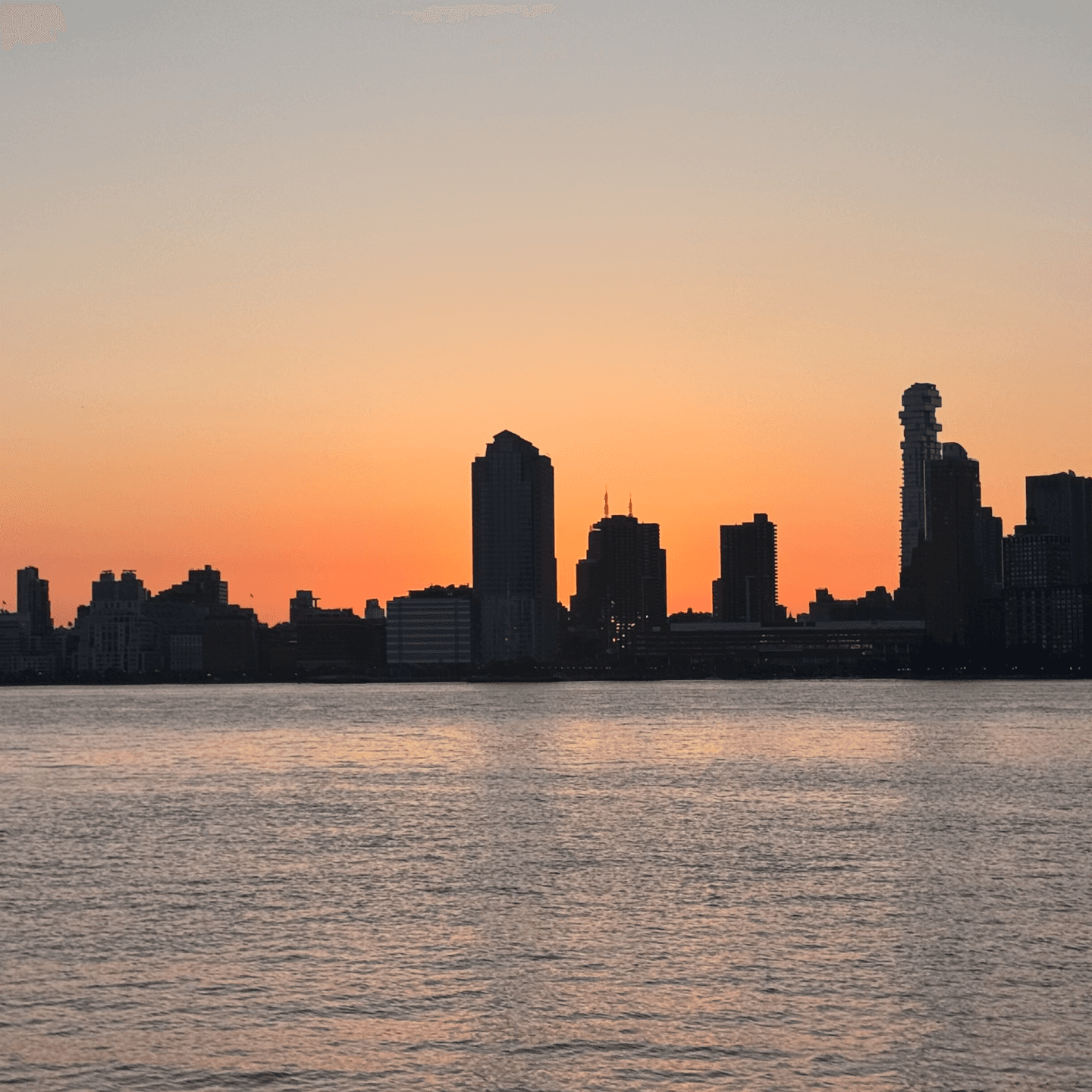 九月物语：纽约生活见闻、日本网球公开赛、白宫杀人事件、猫猫的奇幻漂流 - 犬生活 cover