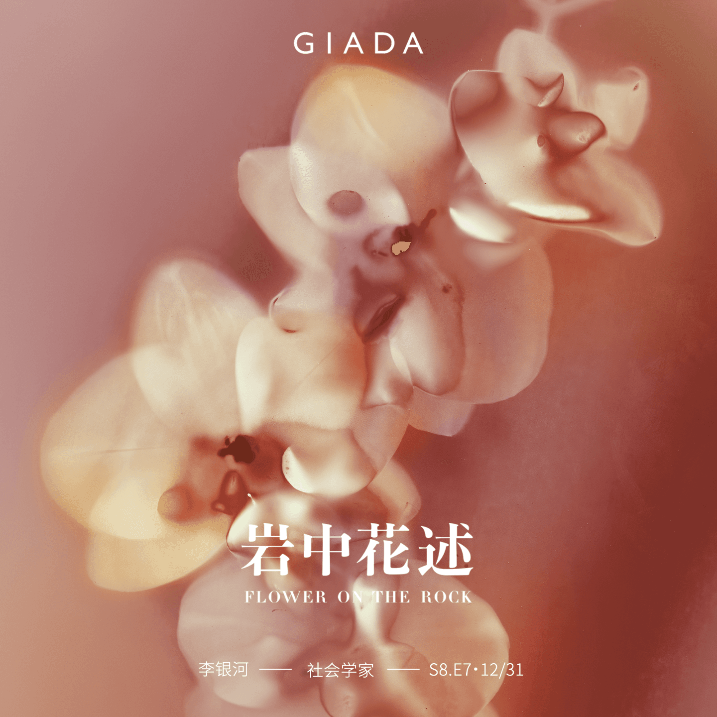 S8E7 鲁豫对话李银河 | 从「三反」到 「银河」，她走出了时代 - 岩中花述 cover