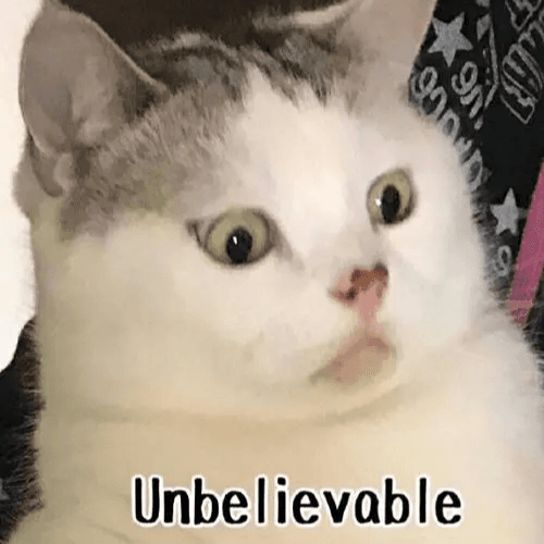 Vol.4 崩了大溃，离谱的相亲经历 - 老姐妹嘉年华 cover