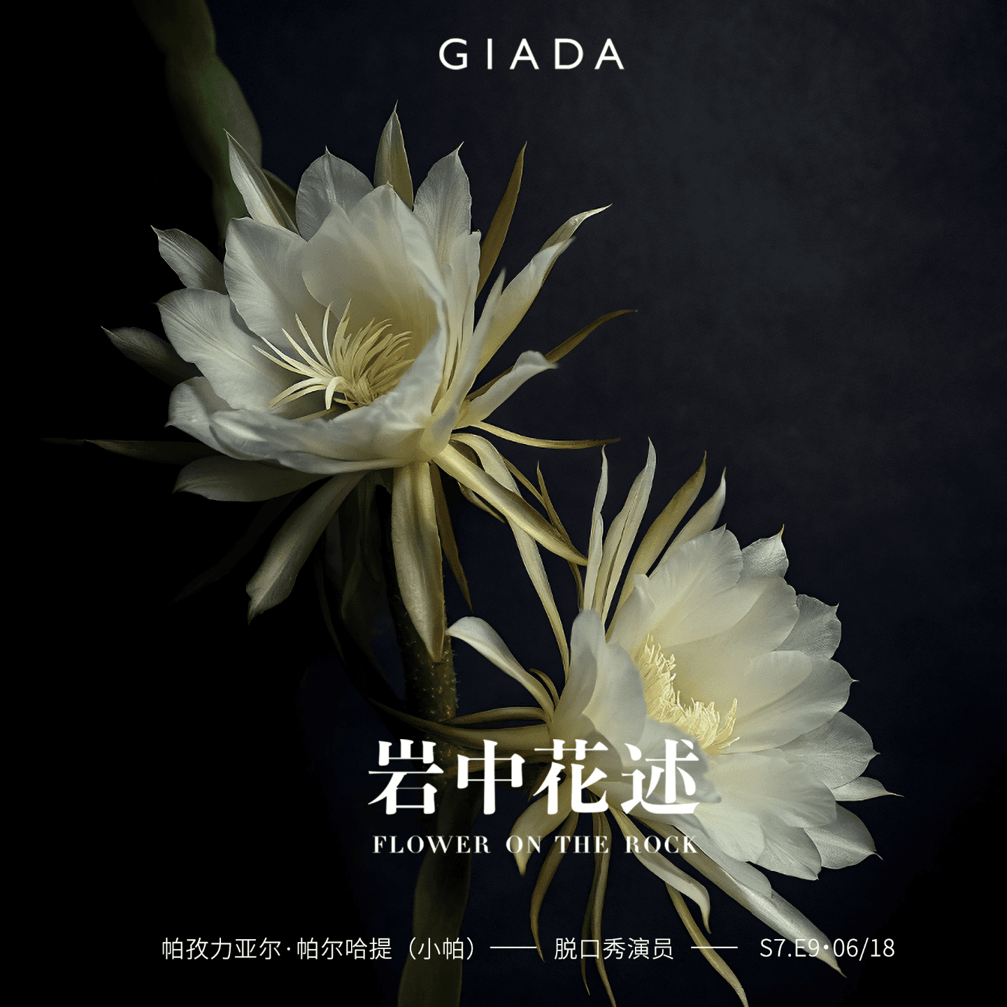 S7E9 鲁豫对话小帕 | 要走多少路，才能成为一个女人，答案在风中飘荡 - 岩中花述 cover