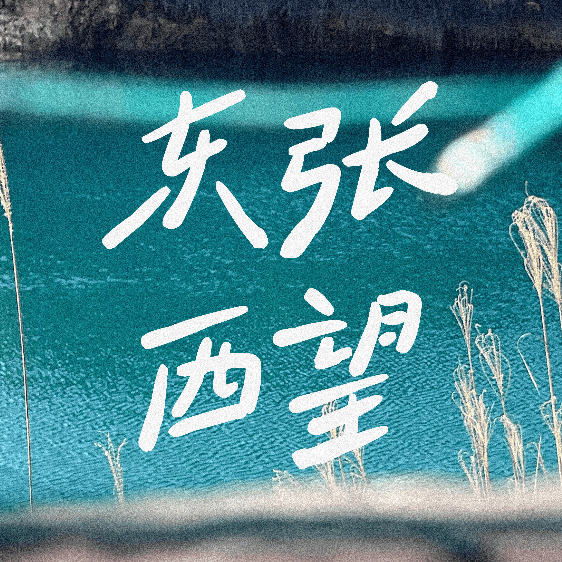 东张西望plus cover