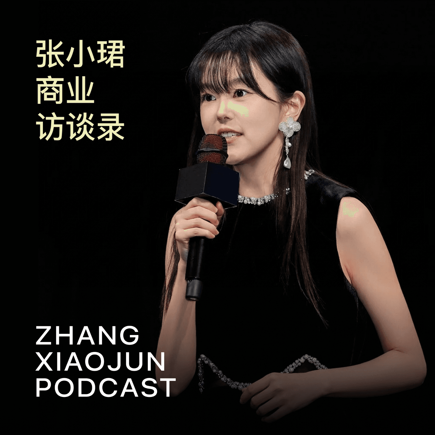 张小珺Jùn｜商业访谈录 cover