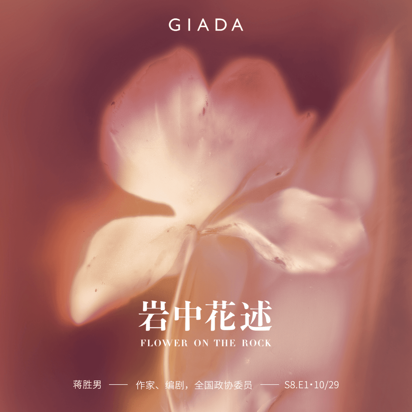 S8E1 鲁豫对话蒋胜男 | 她可以为你而死，但不会只为你而活 - 岩中花述 cover