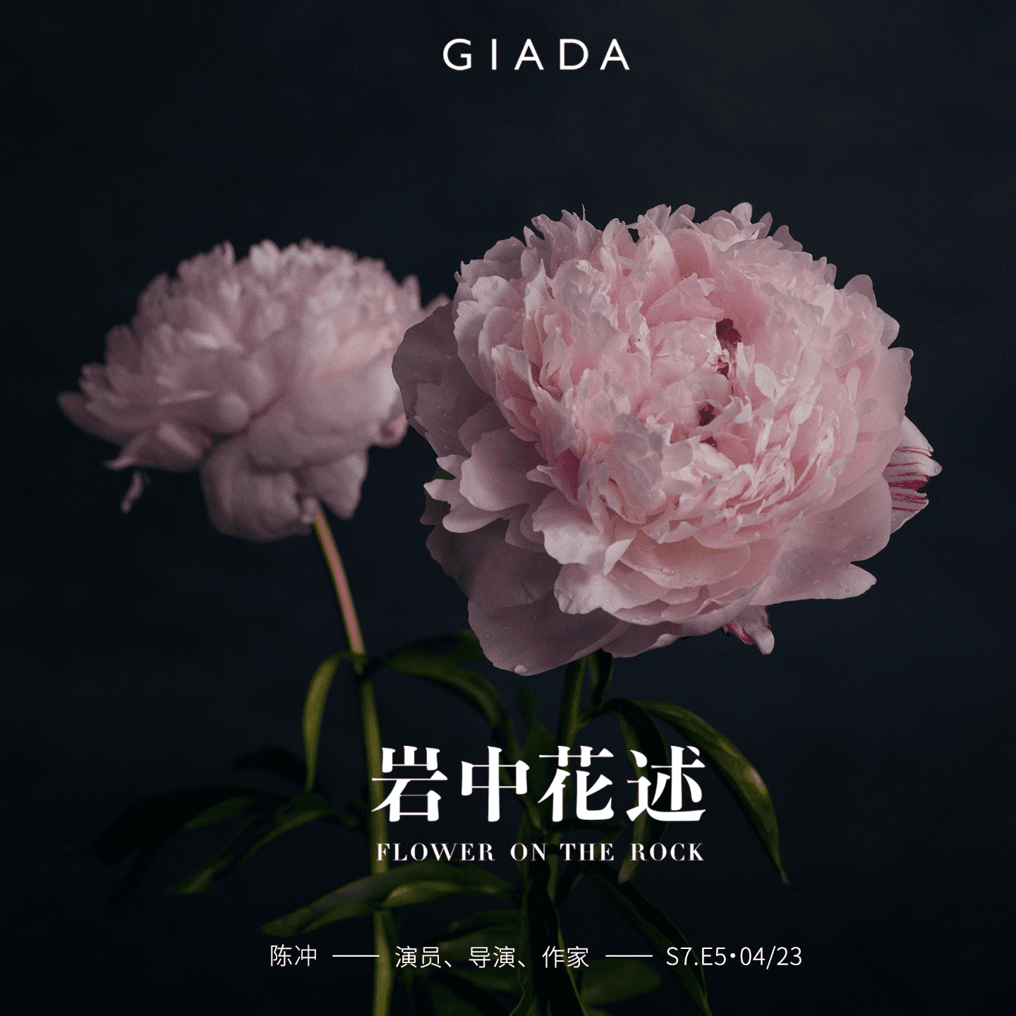 S7E5 鲁豫对话陈冲 | 爱，像颤动的内脏，也似地底的岩浆 - 岩中花述 cover