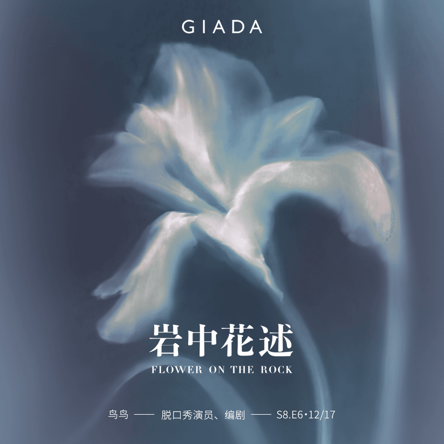 S8E6 鲁豫对话鸟鸟｜没有魅力的人，也值得拥有世界 - 岩中花述 cover