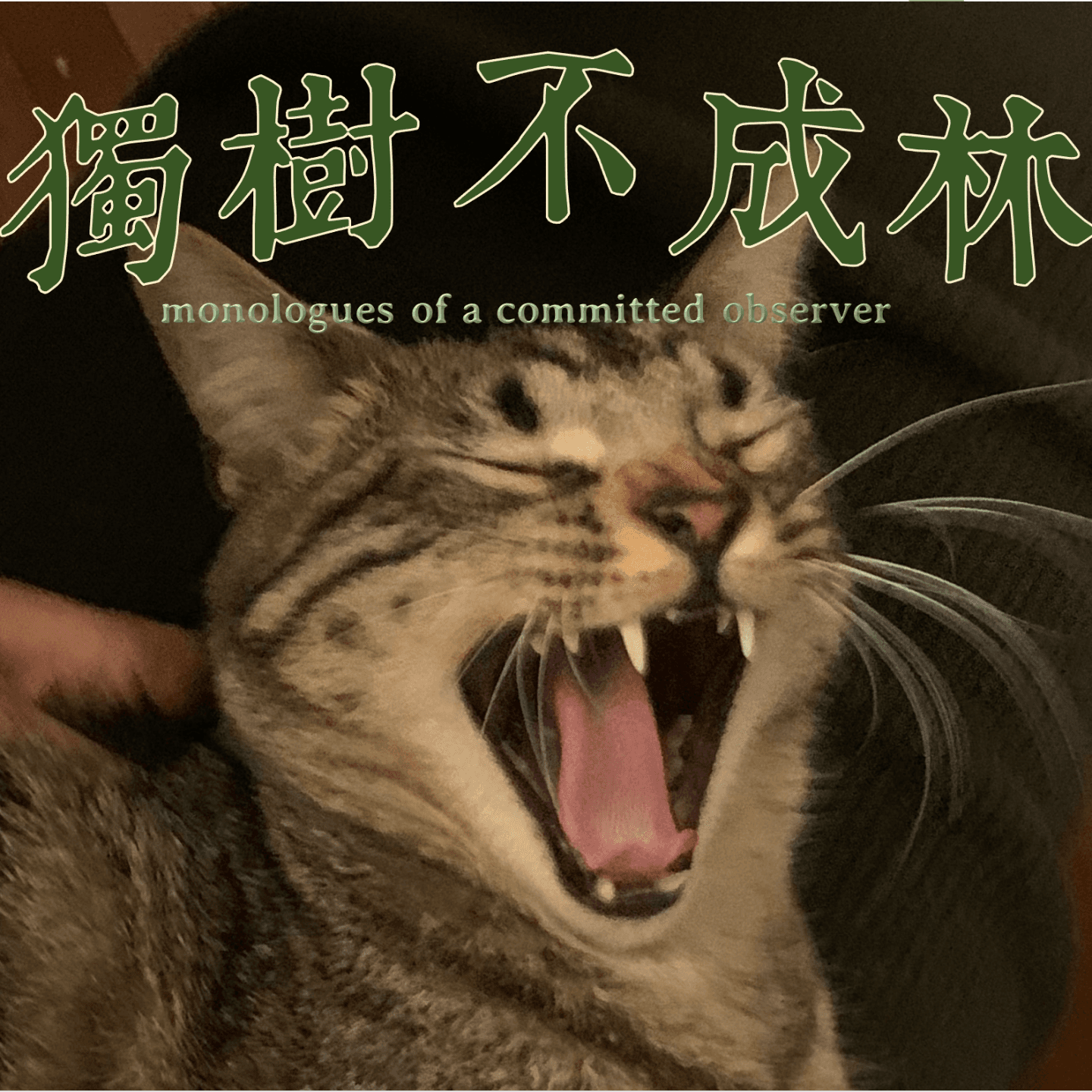 独树不成林 cover
