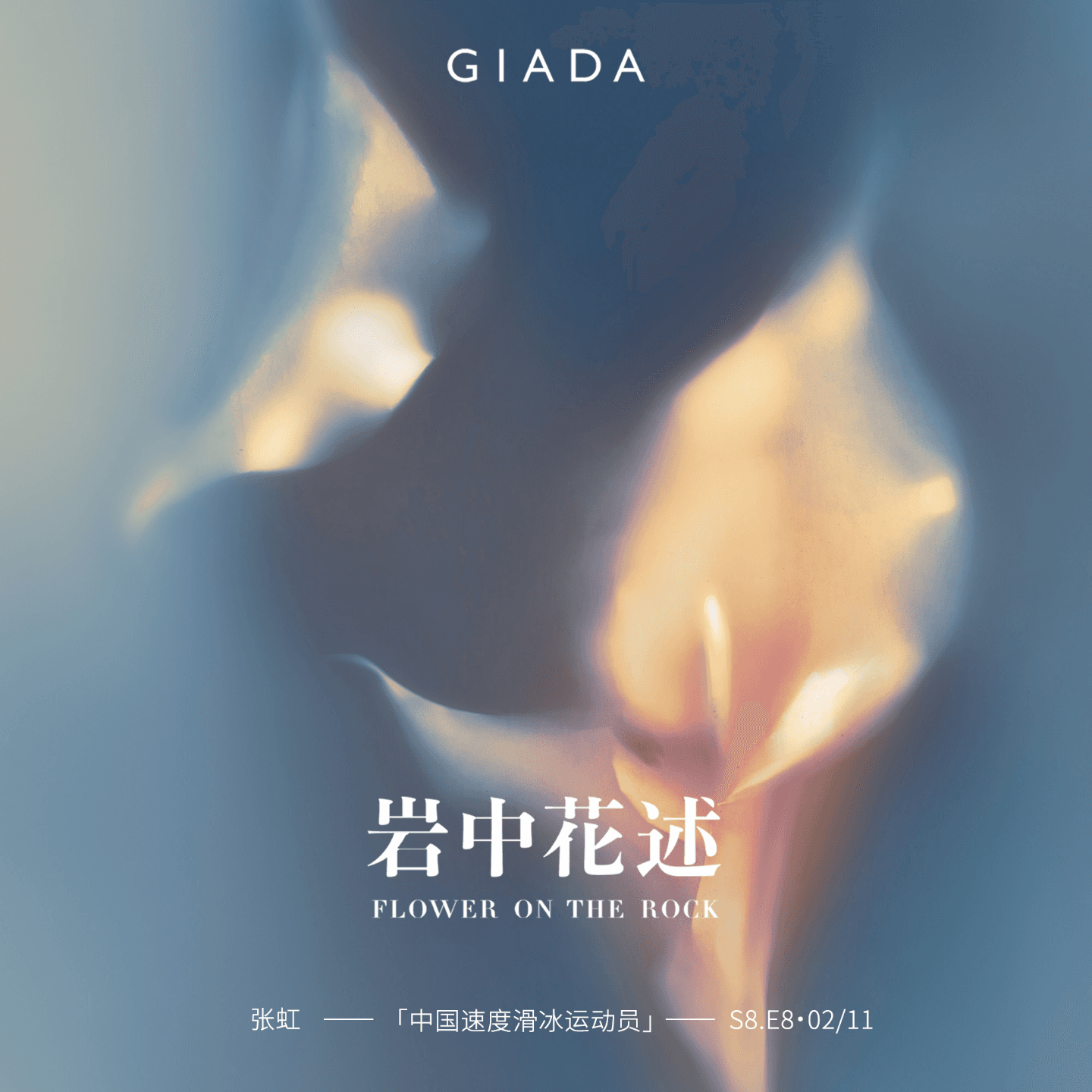 S8E8 鲁豫对话张虹 | 冰场上的向日葵，日复一日、向光疯长 - 岩中花述 cover