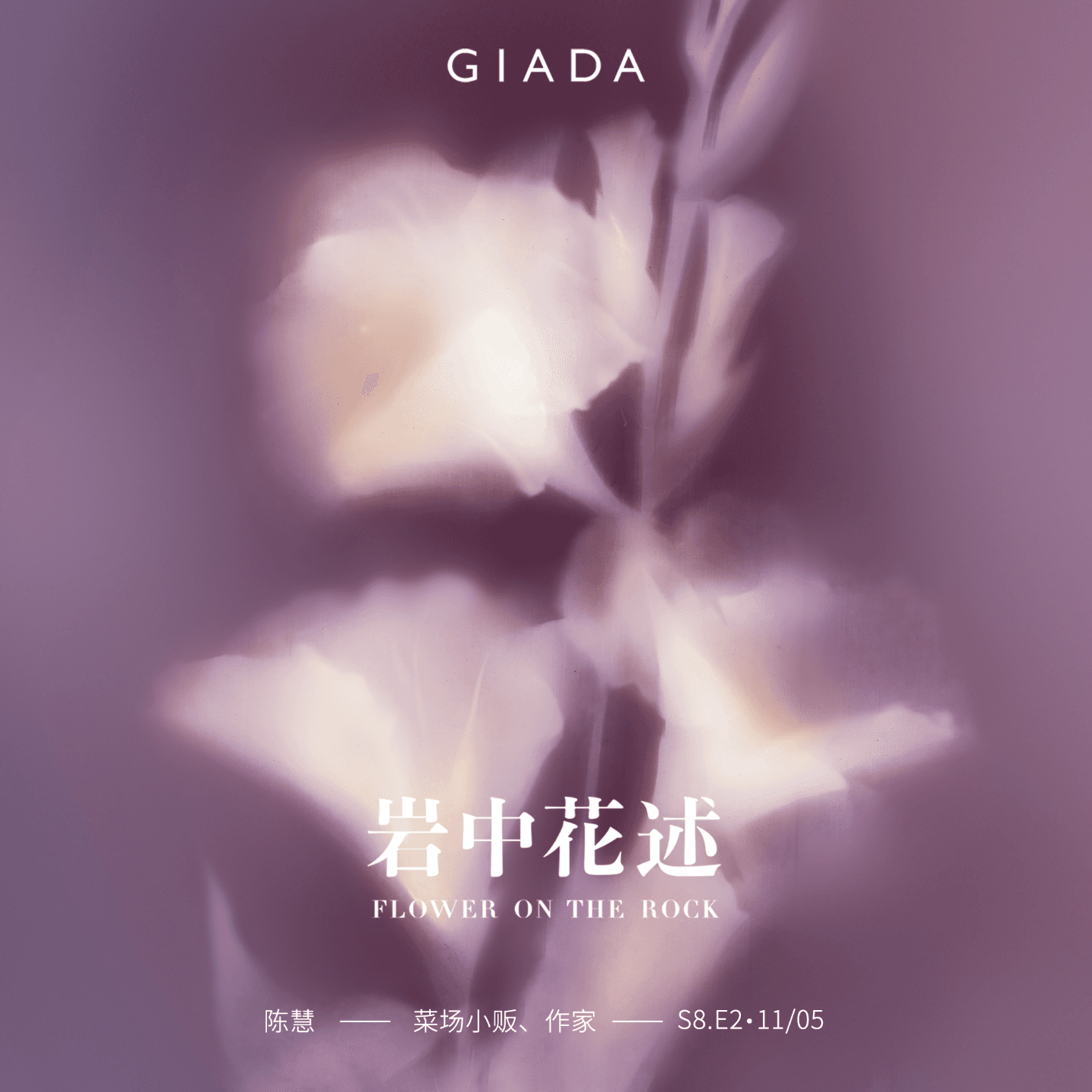 S8E2 鲁豫对话陈慧 | 人如南瓜，可攀援亦可贴地生长 - 岩中花述 cover