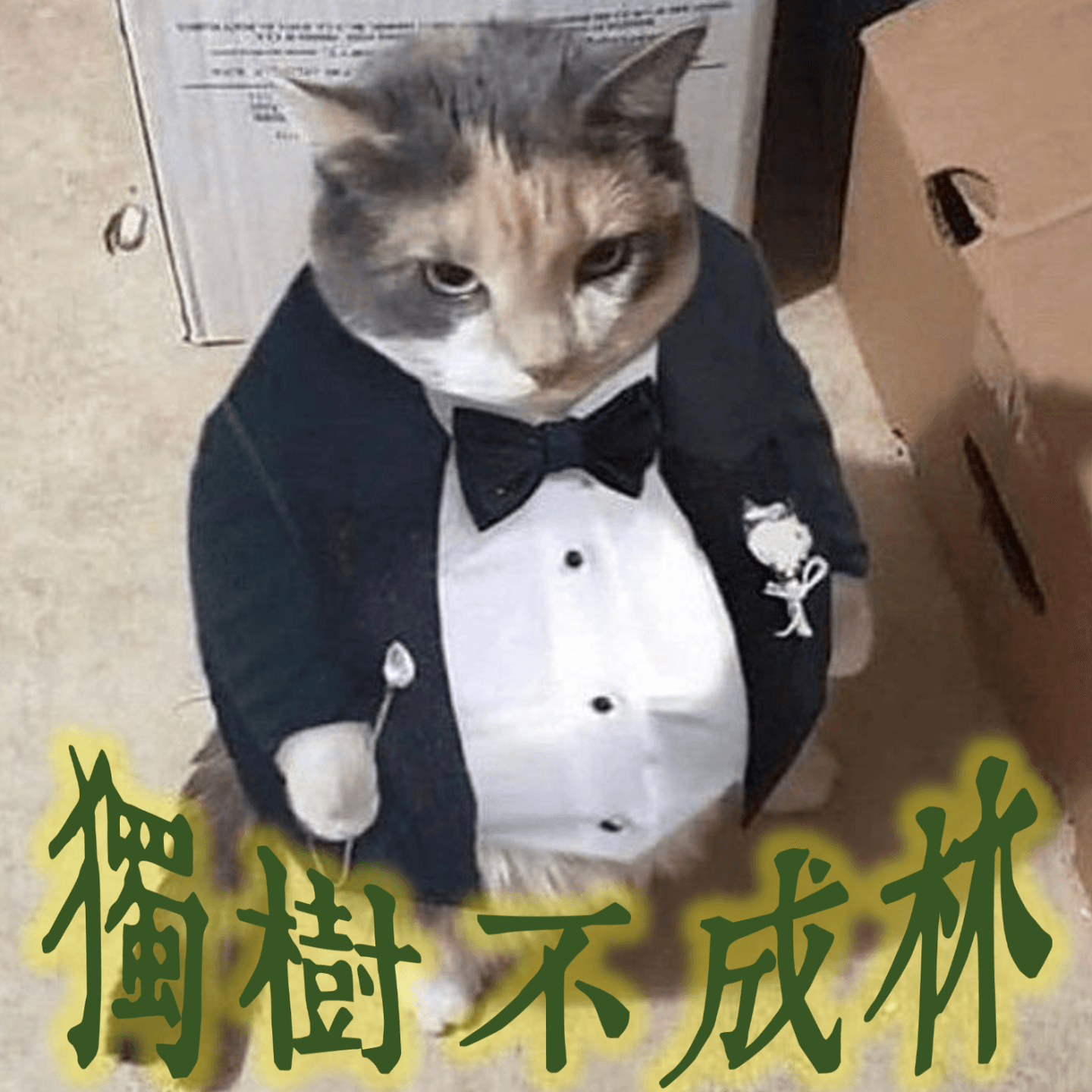 162-如何欣赏古典音乐？ - 独树不成林 cover