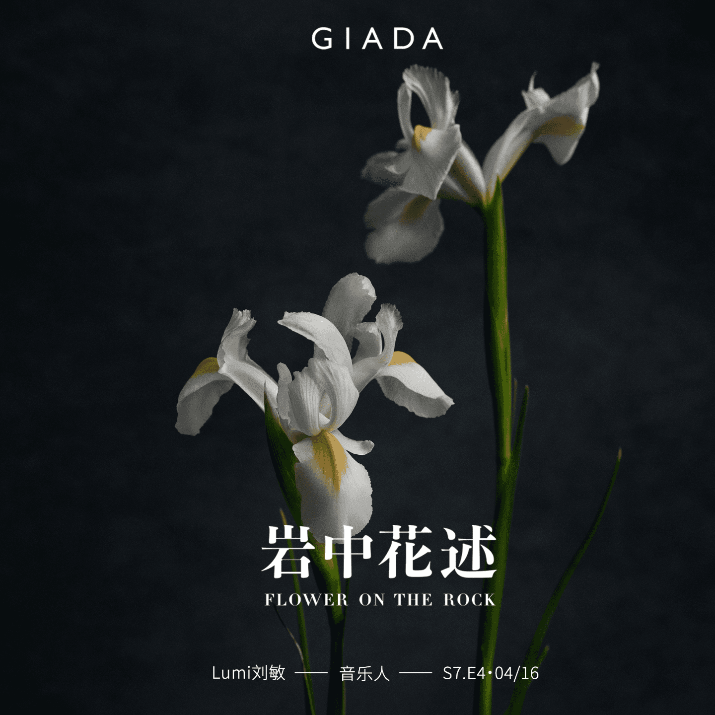 S7E4 鲁豫对话Lumi刘敏 | 在音乐中散发「酷」，在生活中坚守「真」 - 岩中花述 cover