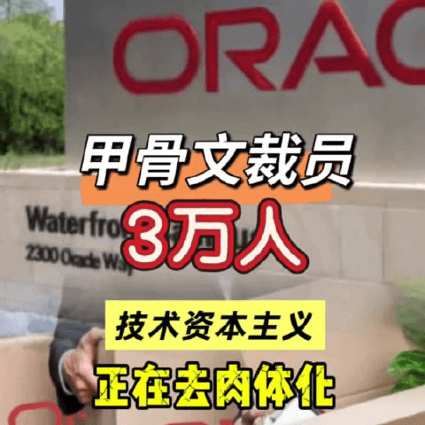 129.抢打工人饭碗的，真是AI吗？对话投中网总编辑董力瀚 - 食野之评 cover