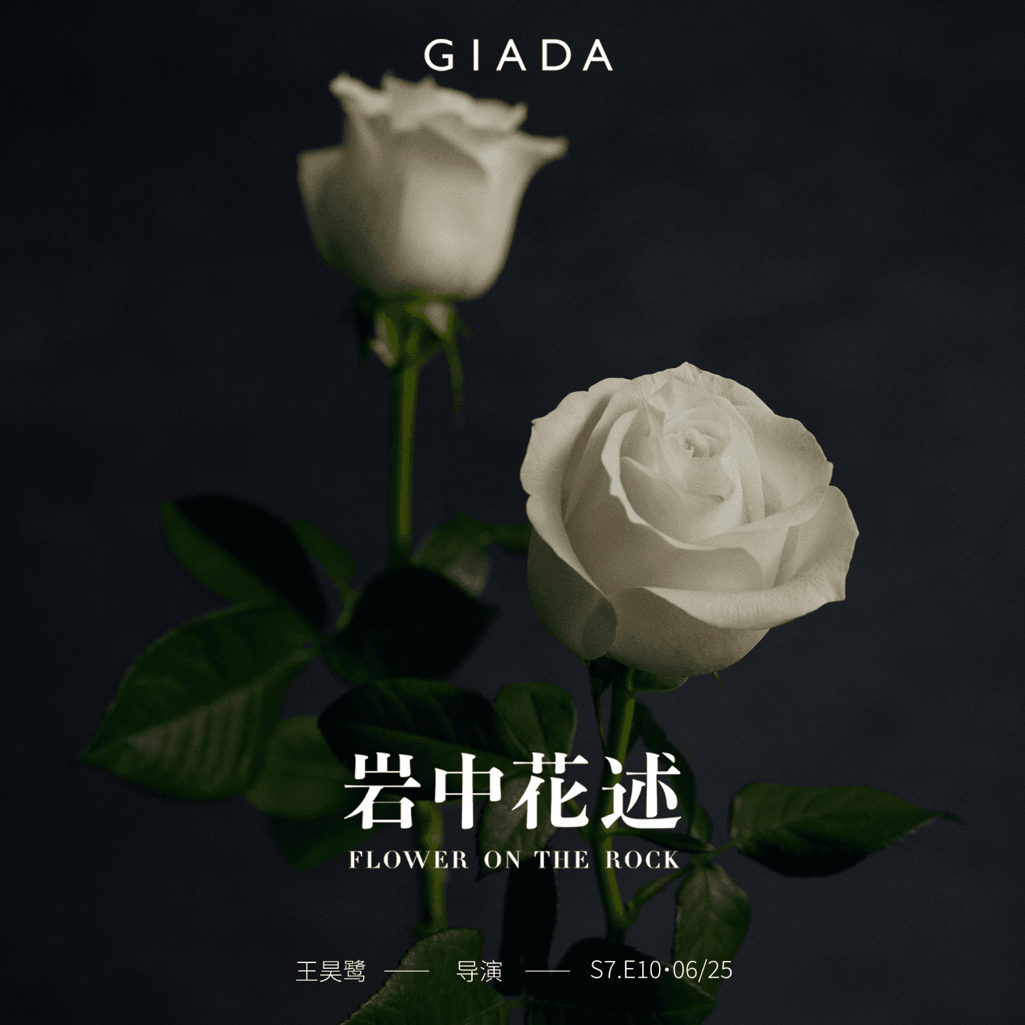 S7E10 鲁豫对话王昊鹭 | 在片场与摇篮间行走，写下自由分镜 - 岩中花述 cover