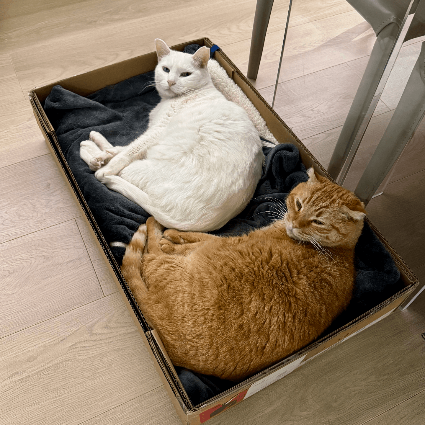 史蒂夫说448期 - 咨询师回信：你不是不值得被爱，你是情绪性闪回了 - 史蒂夫说 cover