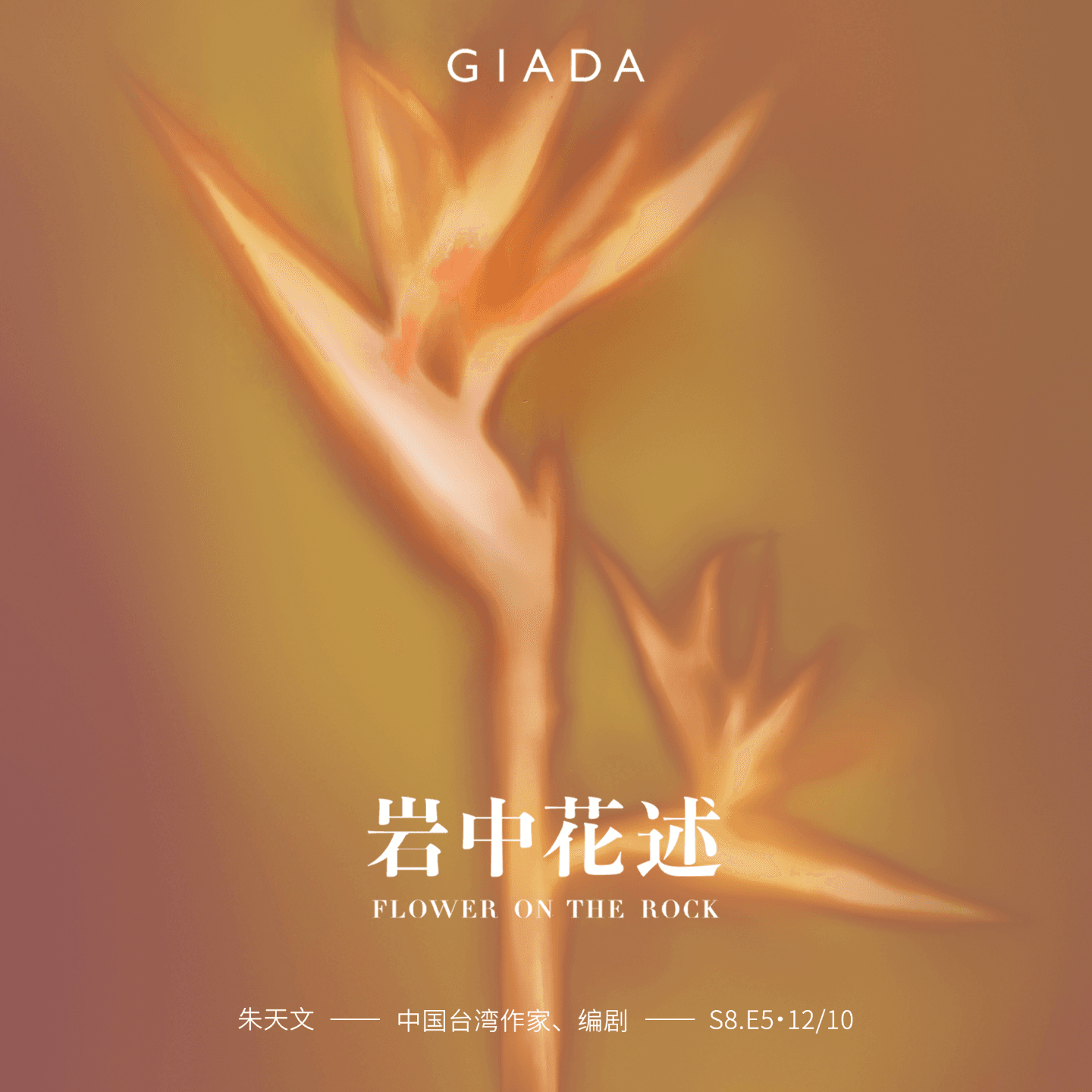 S8E5 鲁豫对话朱天文 | 他已登岸归家，吾独续写「巫」言 - 岩中花述 cover