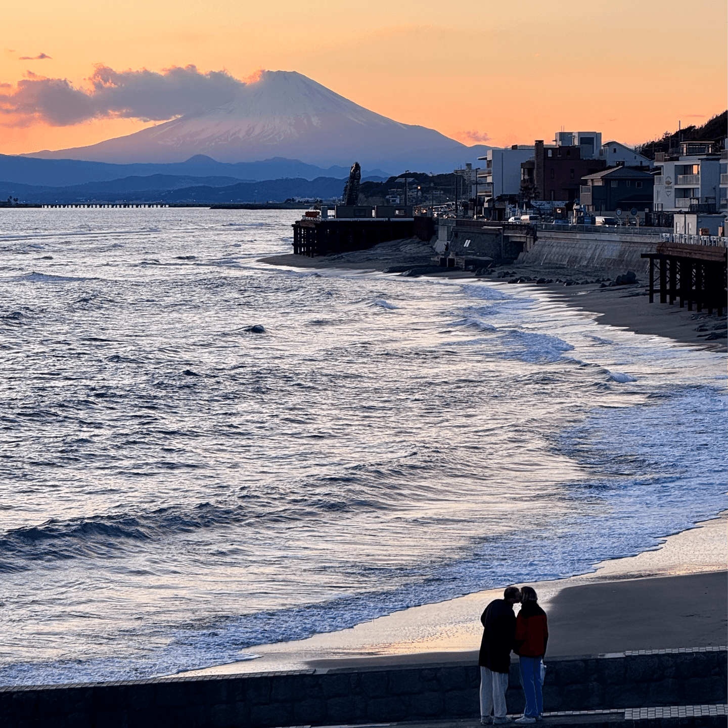 二月物语：去福冈看米津玄师演唱会、紫罗兰永恒花园、海猫鸣泣之时、团地的两人、生活多美好 - 犬生活 cover