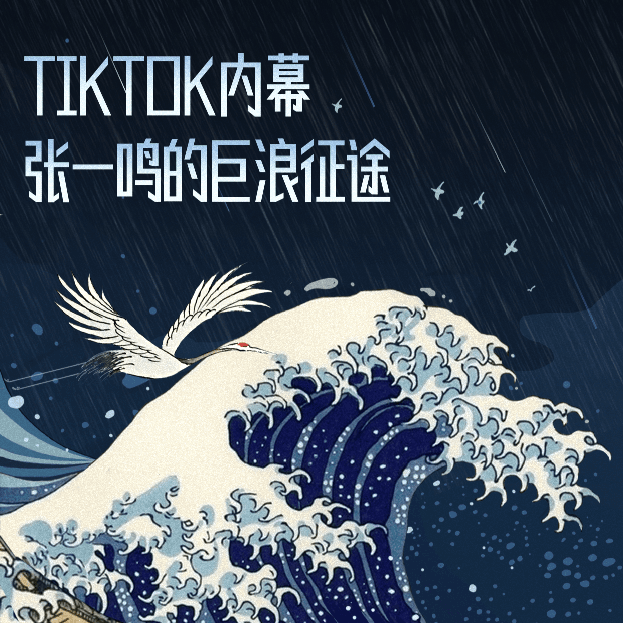 《TikTok内幕：张一鸣的巨浪征途》音频版（上集） - 张小珺Jùn｜商业访谈录 cover