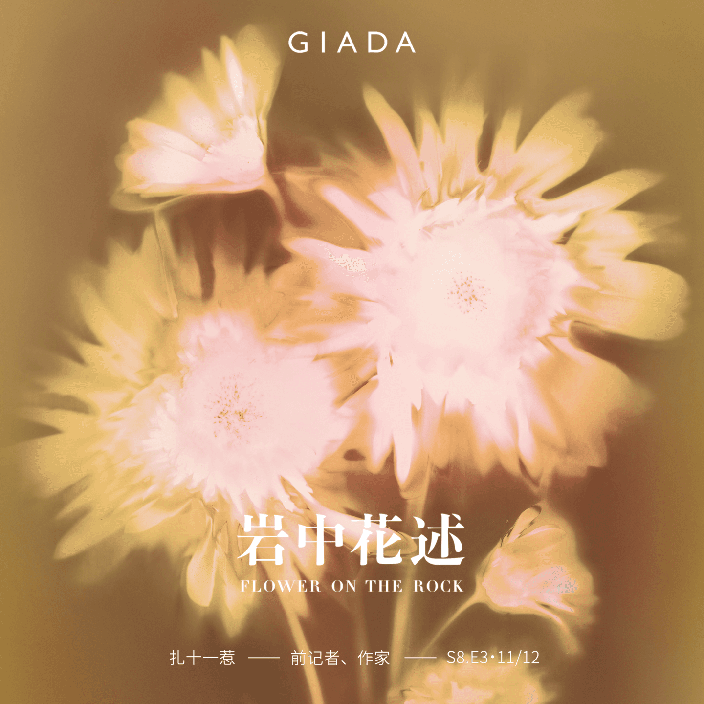 S8E3 鲁豫对话扎十一惹 | 从此我们不忧伤、不害怕 - 岩中花述 cover