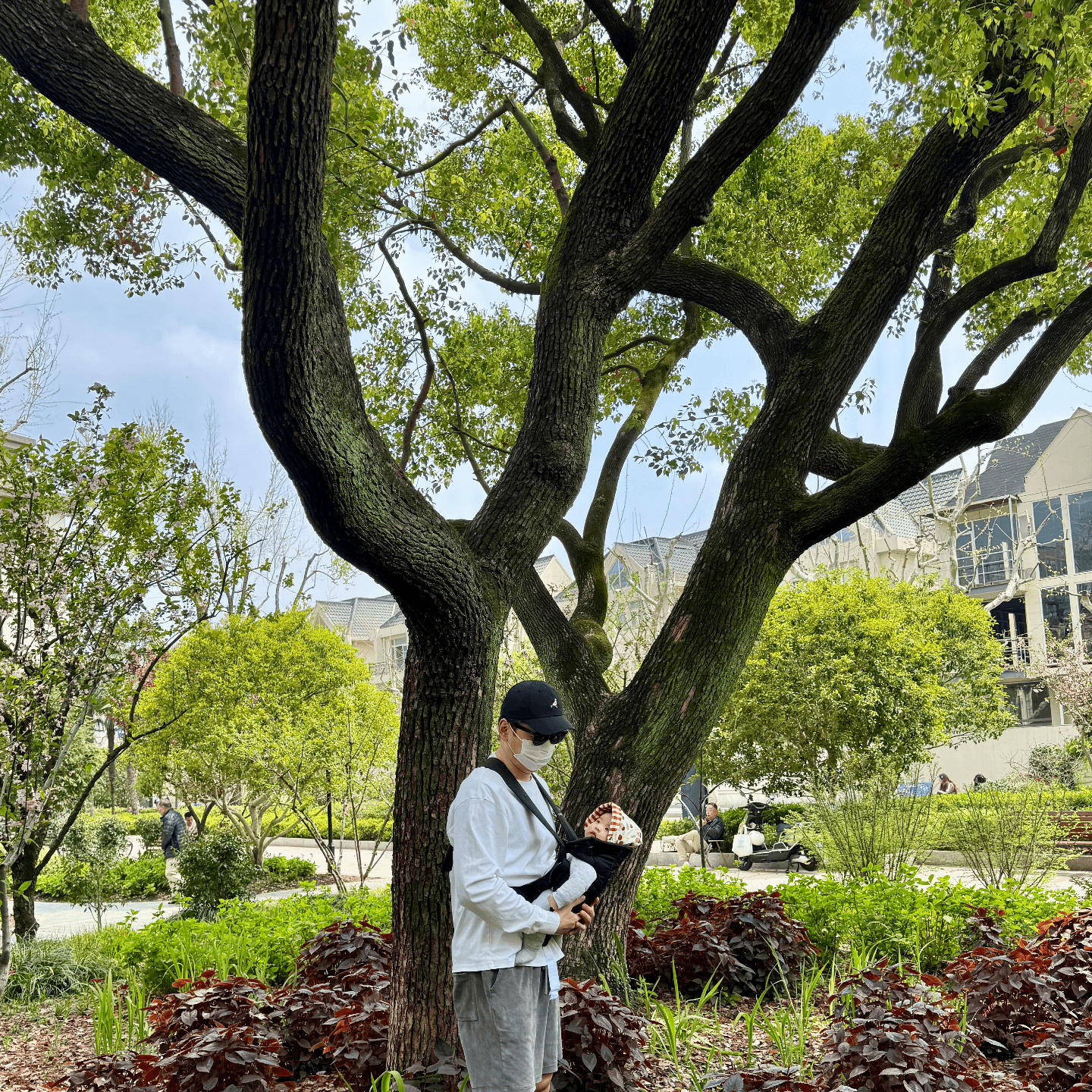 史蒂夫说459期 - 心理科普：为什么40多岁做心理咨询，回报远高于20岁 - 史蒂夫说 cover