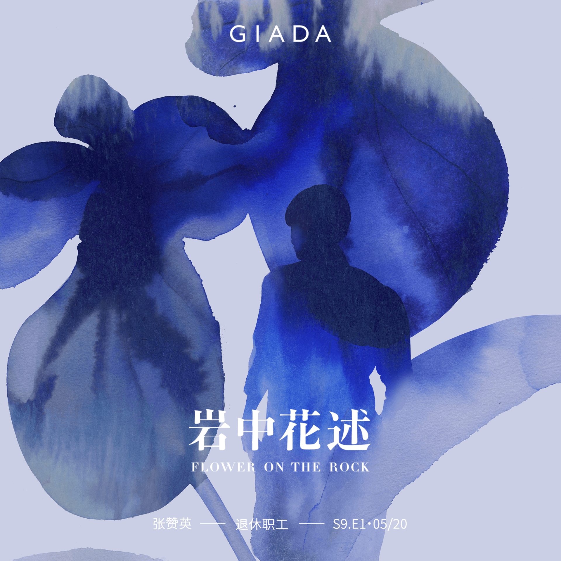 S9E1 鲁豫对话张赞英 | 那朵叫「赞英」的花 — 岩中花述 cover