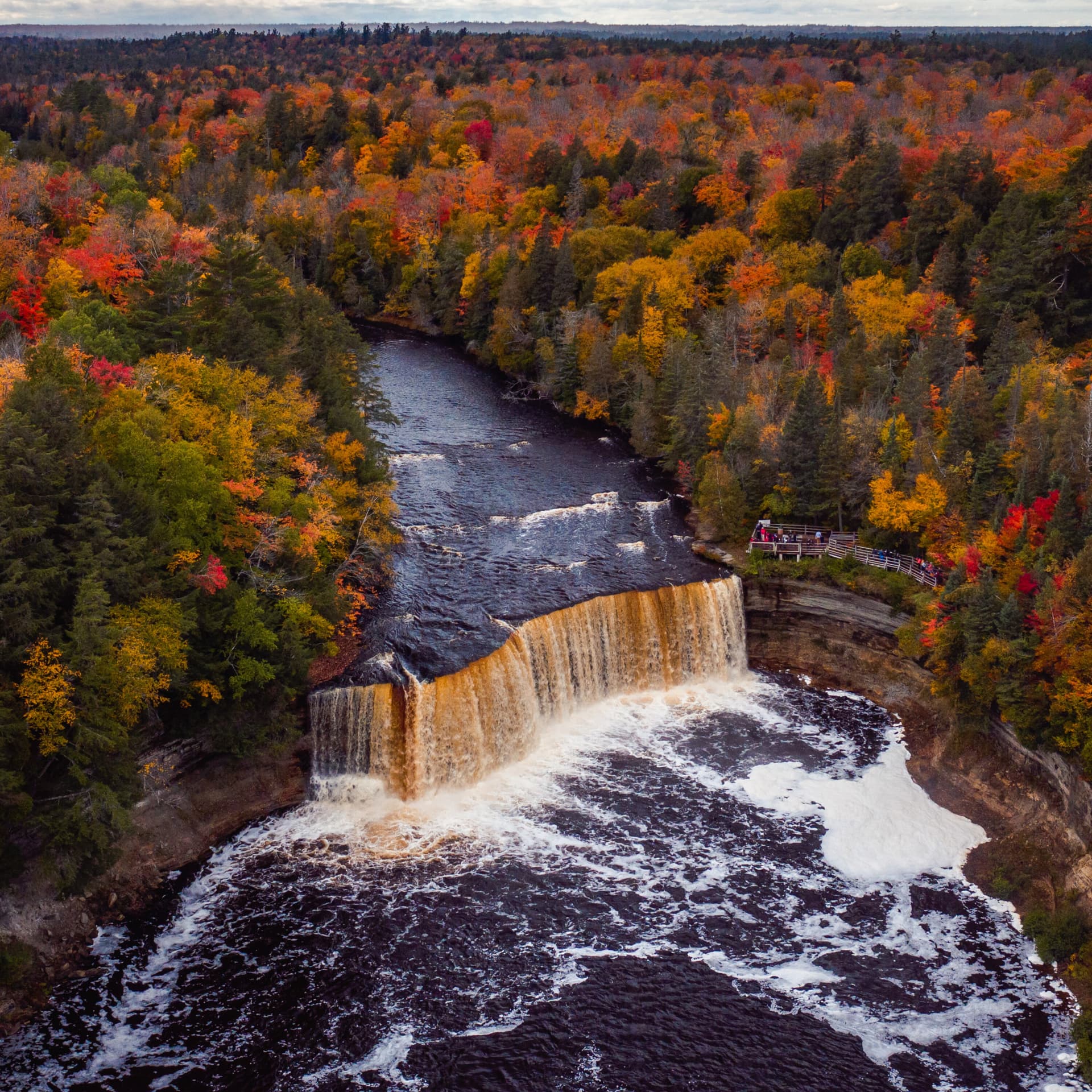 Experts say climate change is happening right here in Metro Detroit. So what should we be doing to preserve our planet? — The Daily J cover