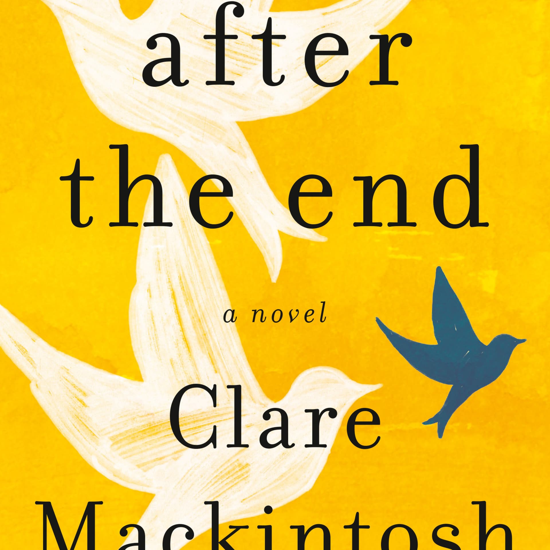 Clare Mackintosh After the End - Hines Reads cover