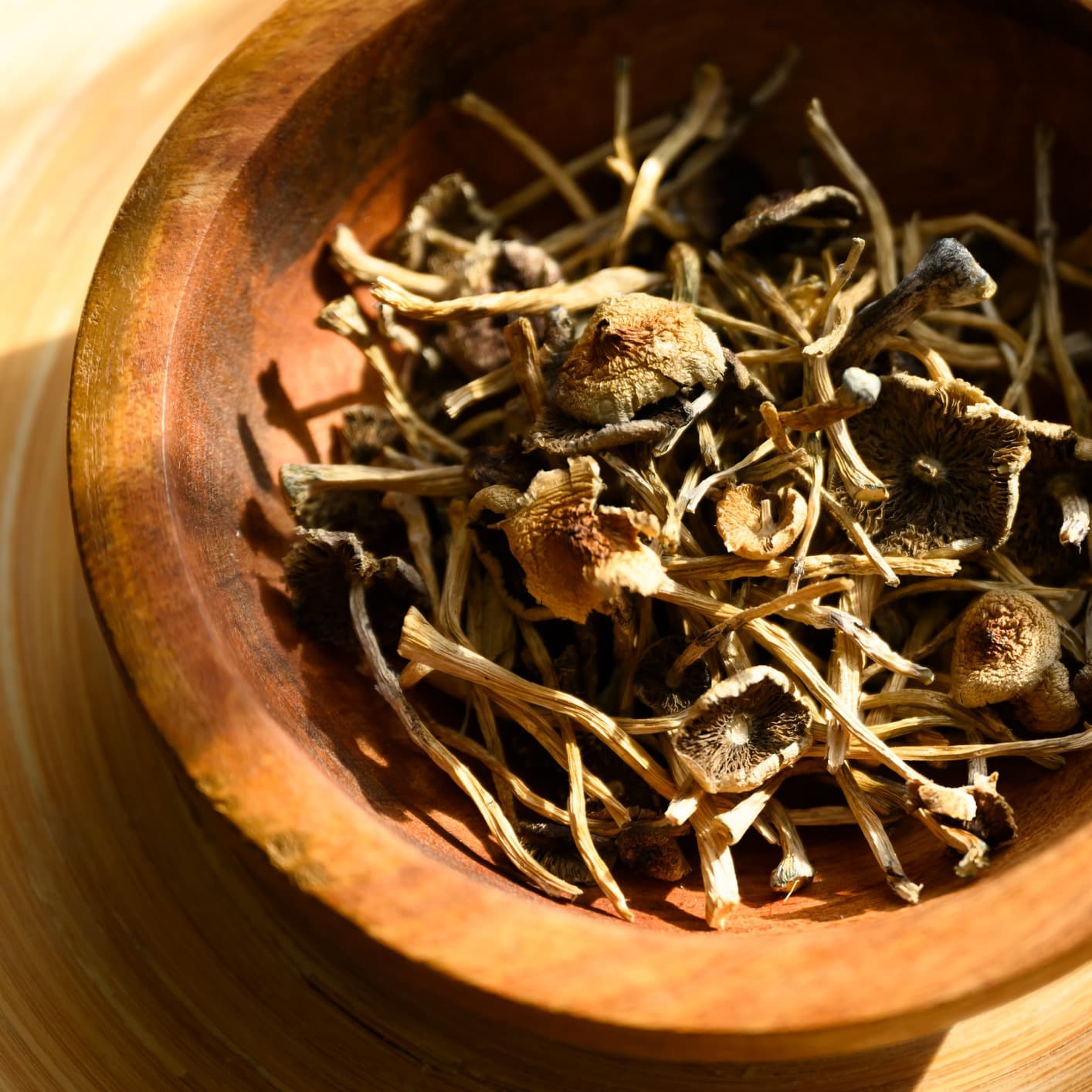 Minnesota lawmaker pushes to legalize psilocybin mushrooms? - Adam and Jordana cover