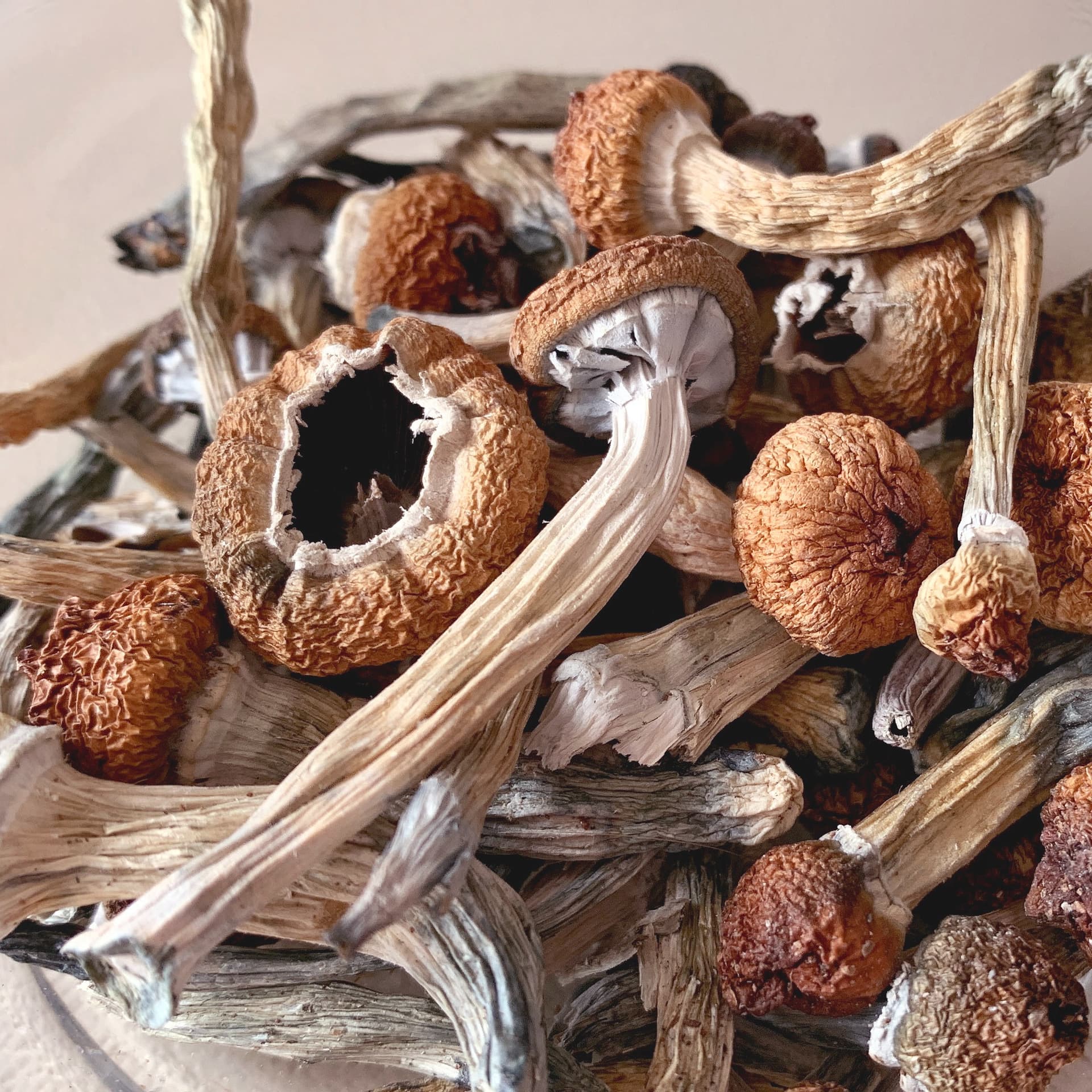 Will Trump's latest order pave the way for medicinal psychedelics? - Adam and Jordana cover