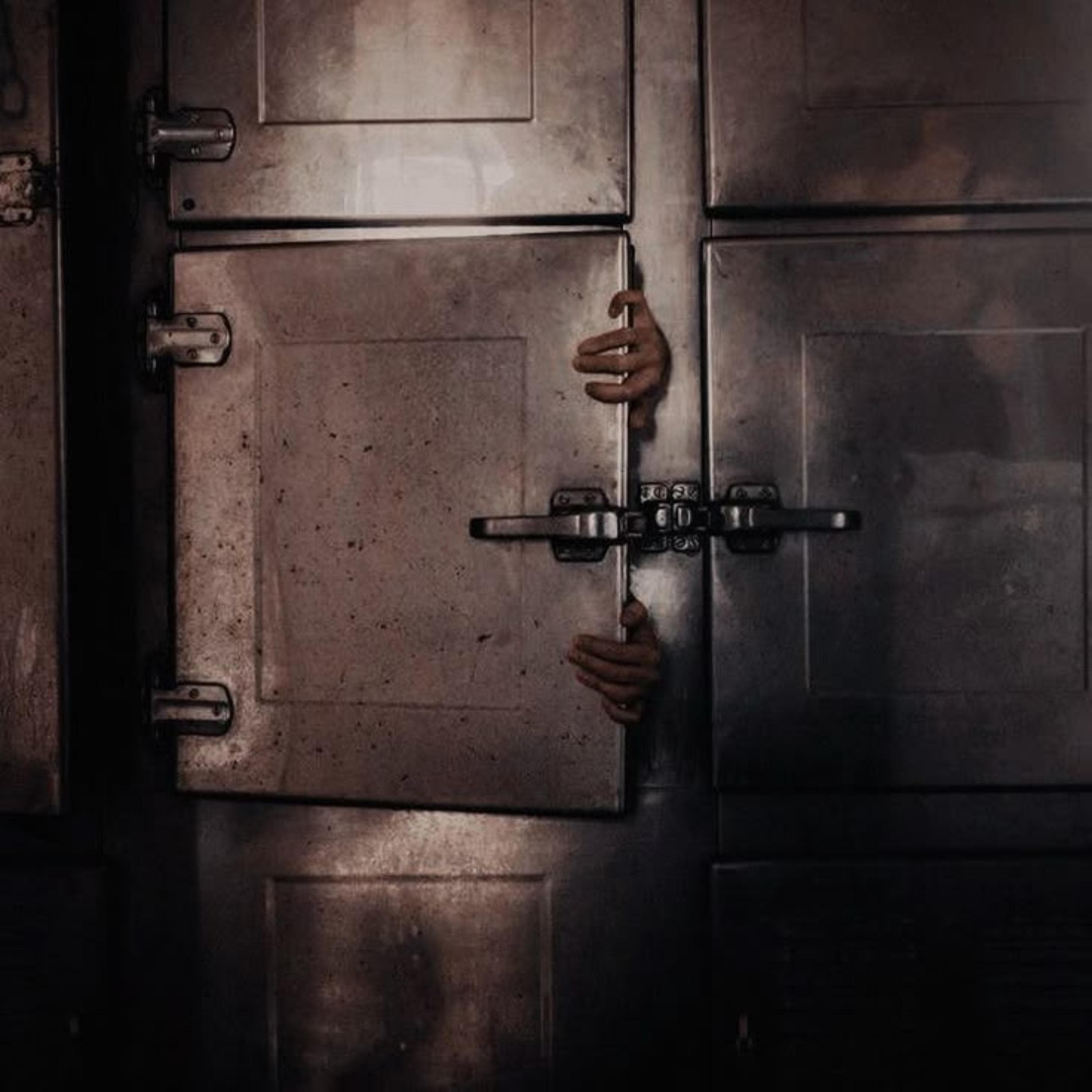 Diary of a Deputy Coroner - Mysterious Radio: Paranormal, UFO and Lore Interviews cover