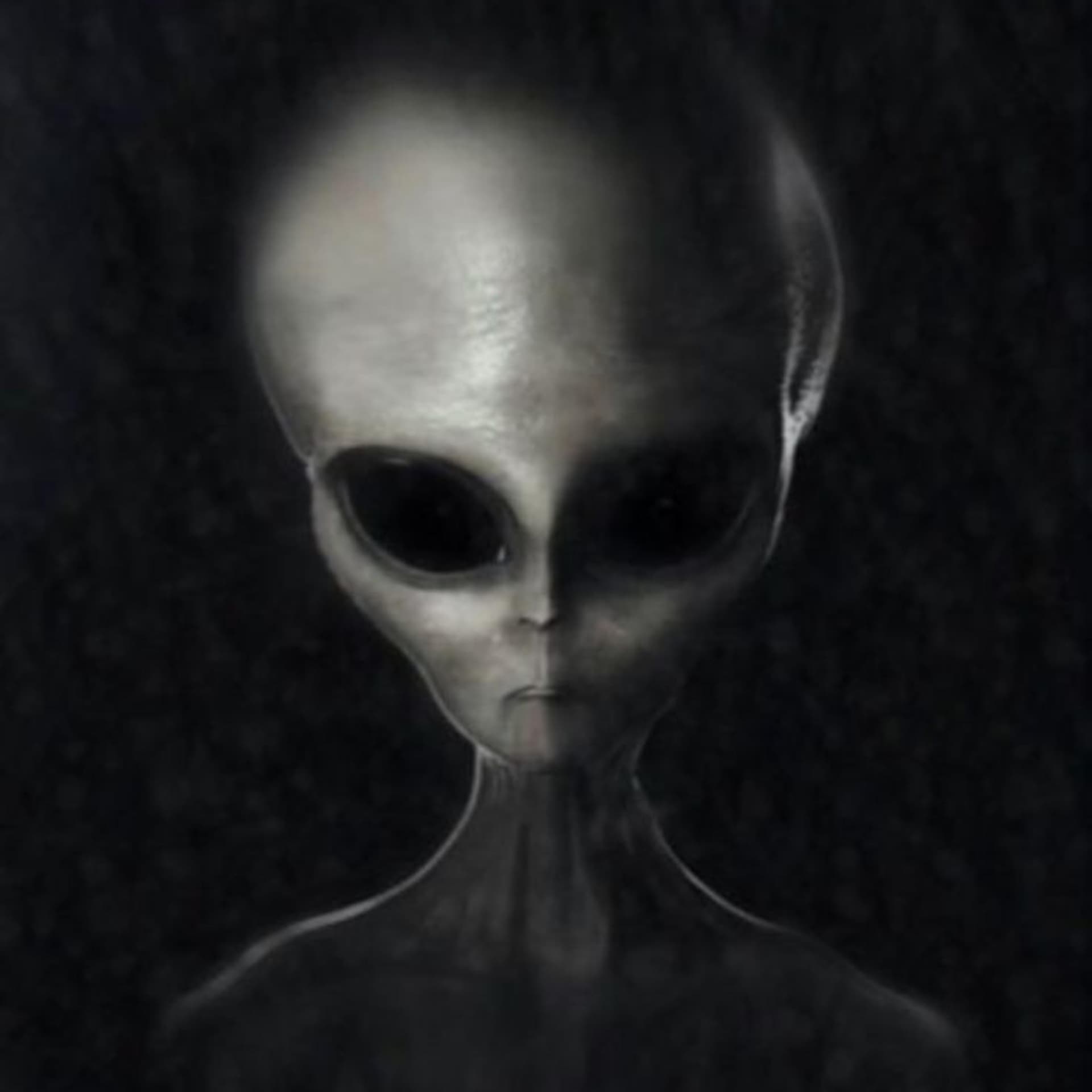 The Messengers: Owls, Synchronicity and the UFO Abductee - Mysterious Radio: Paranormal, UFO and Lore Interviews cover