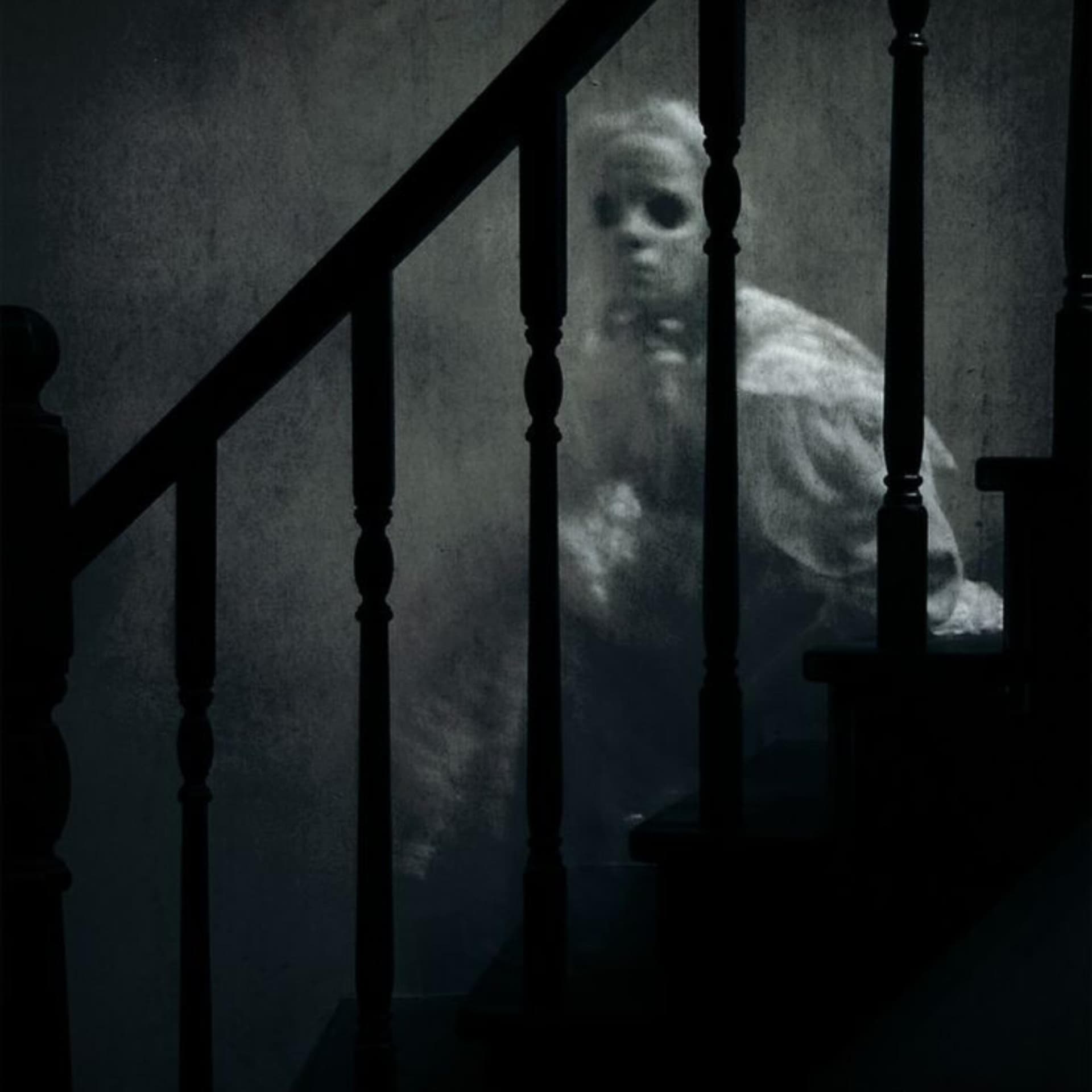 Field Guide To Ghost Hunting - Mysterious Radio: Paranormal, UFO and Lore Interviews cover