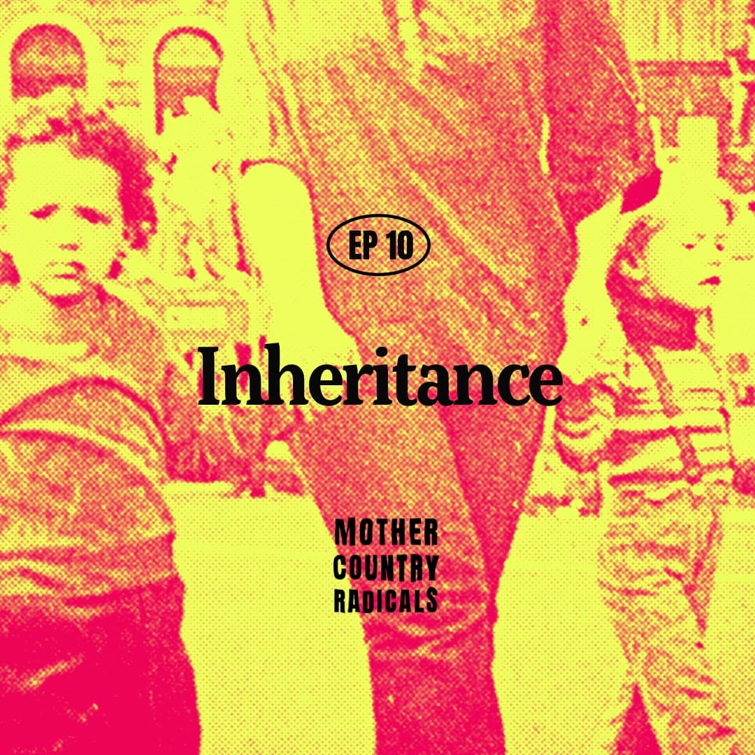 Chapter 10: Inheritance - Mother Country Radicals cover