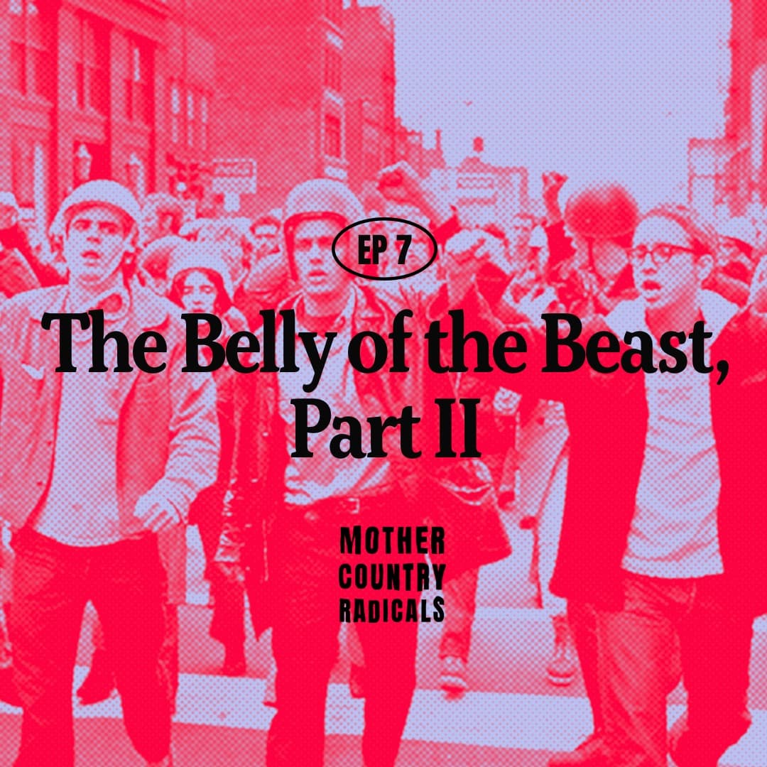 Chapter 7: The Belly of the Beast, Part II — Mother Country Radicals cover