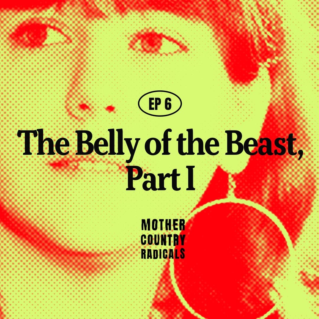 Chapter 6: The Belly of the Beast, Part I — Mother Country Radicals cover