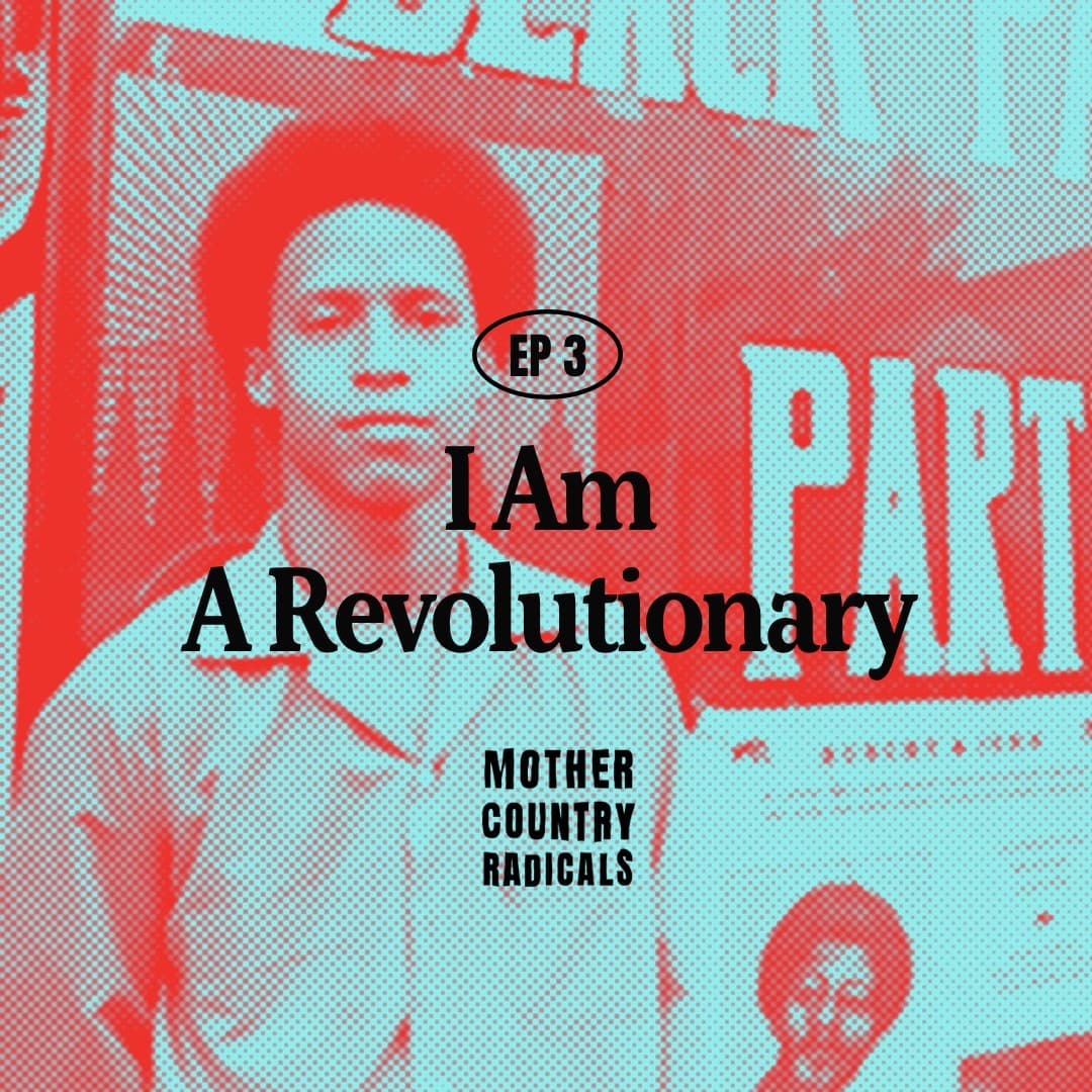 Chapter 3: I Am A Revolutionary - Mother Country Radicals cover